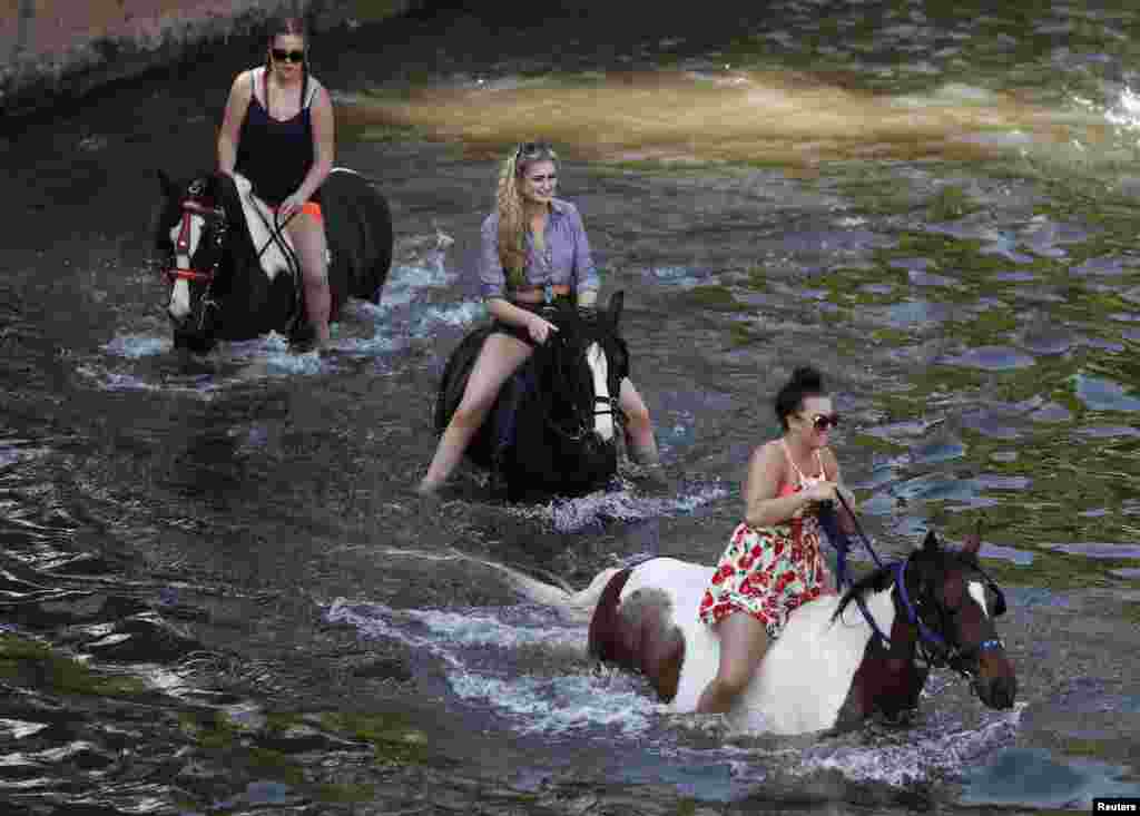 پیش از نمایشگاهی در برتانیا، این سوارکاران اسب های شان را در آب می شویند.