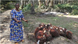 L’activiste des droits fonciers Marie Noëlle Etonde Mbella à côté d’une plantation de l’agro-industrie Socapalm à Mbondjo, le 28 décembre 2020. (VOA/Emmanuel Jules Ntap)