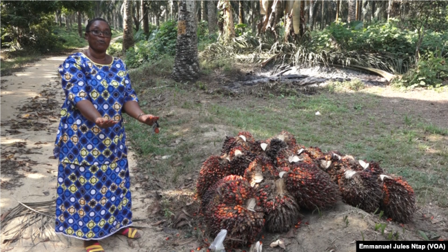L’activiste des droits fonciers Marie Noëlle Etonde Mbella à côté d’une plantation de l’agro-industrie Socapalm à Mbondjo, le 28 décembre 2020. (VOA/Emmanuel Jules Ntap)