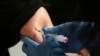 En esta fotografía de archivo del 27 de marzo de 2019, una mujer recibe la vacuna contra el sarampión, las paperas y la rubeola en el Departamento de Salud del condado Rockland en Pomona, EEUU. 