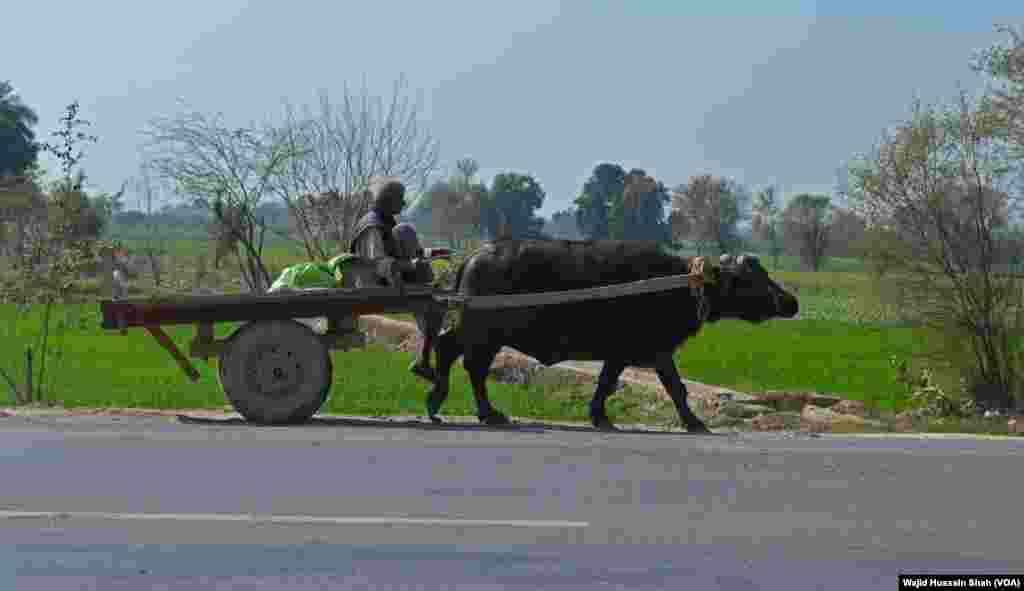 دیہات کا ماحول بہت پر سکون ہوتا ہے۔