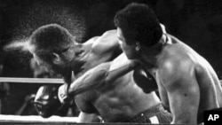 George Foreman lĩnh một cú đấm của Muhammad Ali ở vòng thứ bảy của trận đấu được mệnh danh là 'The Rumble in the Jungle' (Cuộc thư hùng trong rừng già) ở Kinshasa, Cộng hòa Dân chủ Congo, ngày 30 tháng 10 năm 1974.