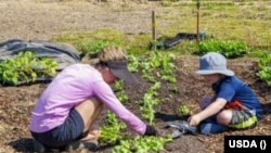  ‘애그리투어리즘’이란 농업을 뜻하는 애그리컬처(agriculture)와 관광을 뜻하는 투어리즘(tourism)이 합쳐진 말이다. 최근 미국 농장이 체계적인 수익 구조를 갖춘 '복합 문화 공간'이자 '기획형 테마파크'로 진화하고 있다.