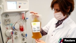 FILE - A nurse holds a bag of plasma from a recovered COVID-19 donor, at the Belgian Red Cross blood collection center in Brussels, Belgium, Oct. 27, 2020. 