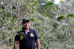 Arnobis Romero, a colombian coffee roaster, poses for a photo in the middle of a coffee plantation in San Lucas, Colombia February 26, 2020. Picture taken February 26, 2020. (REUTERS/Oliver Griffin)