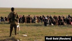 Predaja boraca takozvane Islamske države, Baghouz, Sirija, Februar 2019.