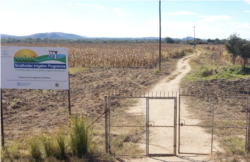 An irrigration system is being repaired on a field of maize in drought-prone Masvingo district, Zimbabwe, May 2019. (C. Mavhunga/VOA)