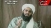 Cadena perpetua para yerno de bin Laden