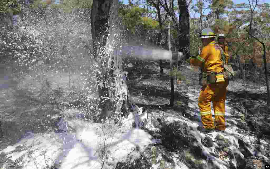 Firefighters spray foam on smoldering bush to help reduce reflash fires after a blaze swept through Faulconbridge, west of Sydney, Oct. 24, 2013.
