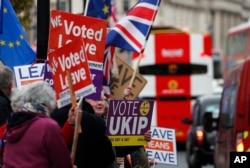 Brexit supporters protest opposite the Houses of Parliament in London, Britain, Jan. 15, 2019.
