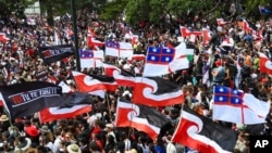 Thousands of people gather outside New Zealand's parliament to protest a proposed law that would redefine the country's founding agreement between Indigenous Maori and the British Crown, in Wellington November 19, 2024.