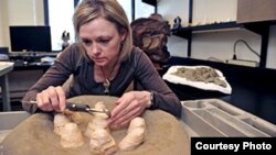 Darla Zelenitsky, assistant professor in the Department of Geoscience at the University of Calgary, explored the unusual nesting habits of the small meat-eating Troodon dinosaur by studying the shells of fossil eggs.(Photo:Jay Im)