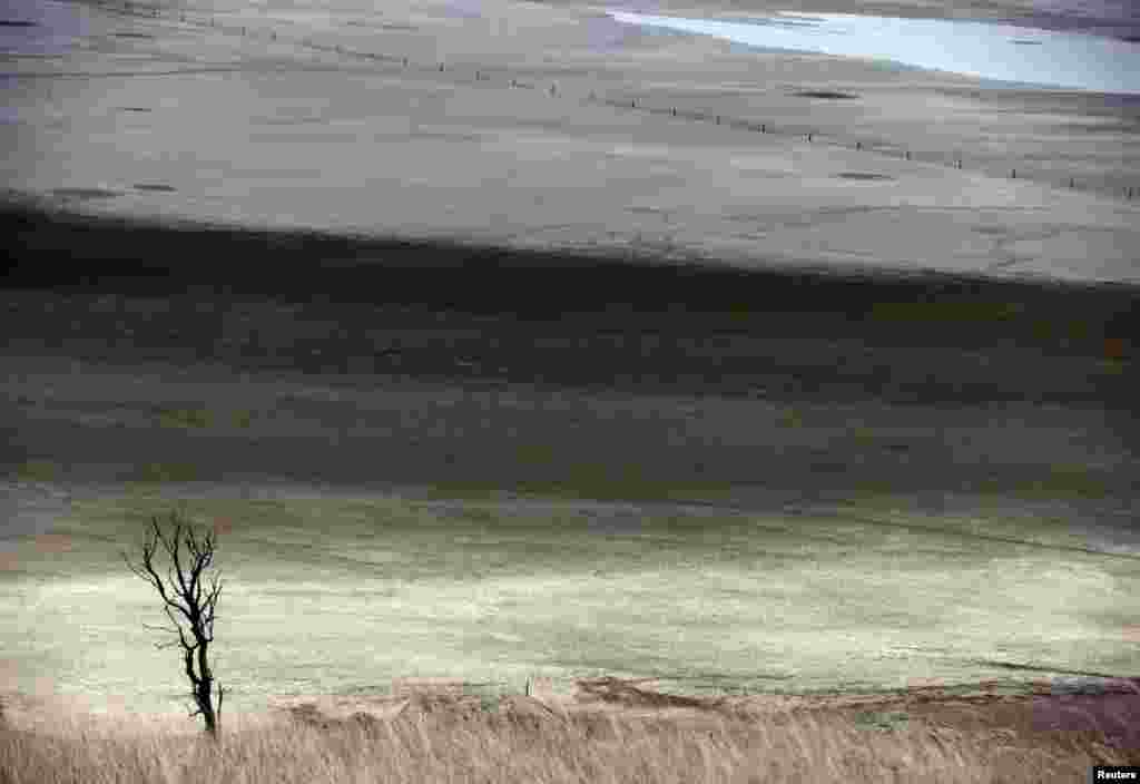 A dead tree stands in front of shallow water and a dried-up area of Lake George, located 50 km (31 miles) north of the Australian capital city of Canberra.