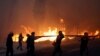希臘雅典附近山火造成至少74人死亡