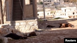 Animal carcasses are shown in wake of what residents describe as a chemical weapons attack in Khan al-Assal area, near Aleppo, Syria, March 23, 2013.