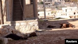 Beberapa binatang tewas diduga akibat penggunaan senjata kimia di distrik Khan al-Assal, dekat Aleppo, Suriah (foto: dok). 