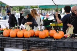 People buy pumpkins at an outdoor market in Union Square Park, New York, Oct. 5, 2020. (Credit: John Nacion/STAR MAX/IPx)