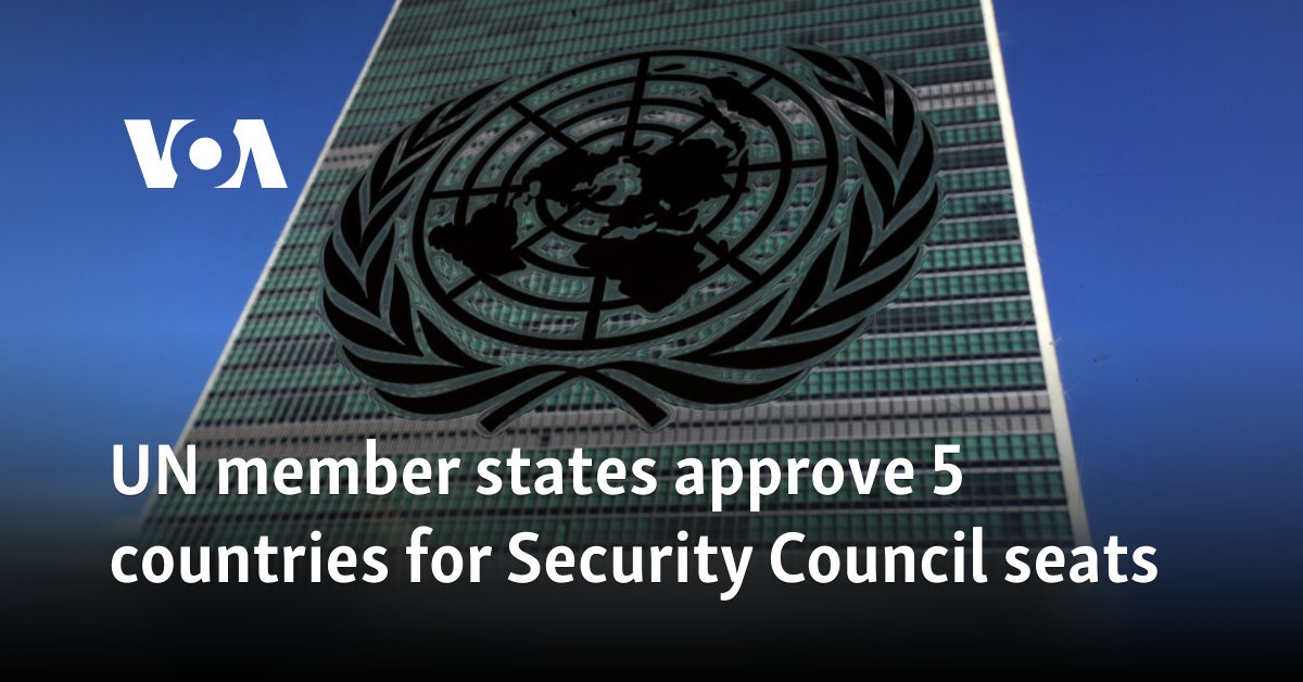 UN member states approve 5 countries for Security Council seats