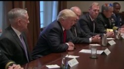 اخبار شامگاهی