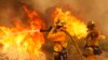 Firefighters battle the Springs Fire at Point Mugu State Park in California. A wind-driven wildfire raged along the California coast north of Los Angeles, threatening some 3,000 homes and prompting evacuations of a university campus and several residential areas.