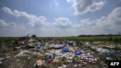 FILE - A photo taken on July 23, 2014, shows the crash site of downed Malaysia Airlines flight MH17, in a field near the village of Hrabove, Donetsk region, in eastern Ukraine.
