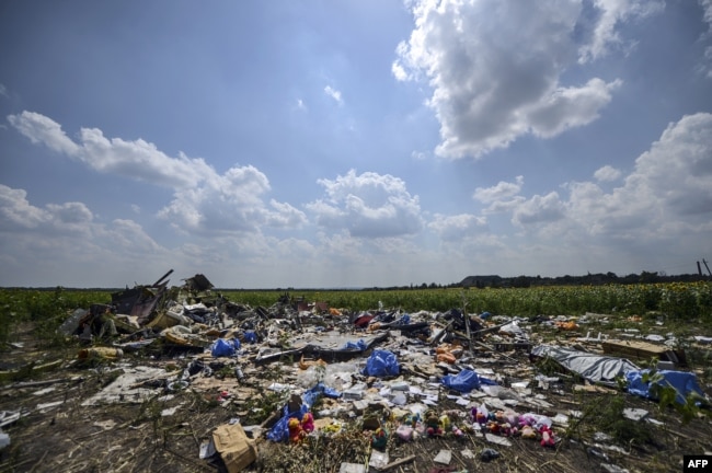 FILE - A photo taken on July 23, 2014 shows the crash site of the downed Malaysia Airlines flight MH17, in a field near the village of Grabove, in the Donetsk region.