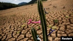 "Deserto de Cantareira", um trabalho do artista brasileiro Mundano