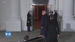 Donald Trump ye bolona bile yamaruya seben do kan 