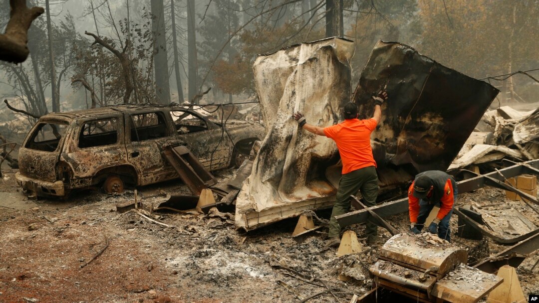
Petugas SAR mencari sisa-sisa jenazah di taman trailer yang dilalap kebakaran, di Kota Paradise, California, 13 November 2018. 