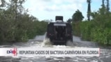 Emiten alerta por bacteria “come carne” en areas de Florida impactadas por huracanes