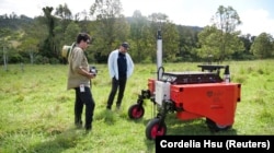 Salah Sukkarieh (middle), Professor of Robotics and Intelligent Systems at the University of Sydney, watches a robot demonstration in Allynbrook, Australia, November 21, 2024. (REUTERS/Cordelia Hsu)