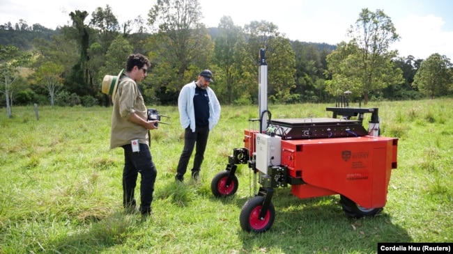 Salah Sukkarieh (middle), Professor of Robotics and Intelligent Systems at the University of Sydney, watches a robot demonstration in Allynbrook, Australia, November 21, 2024. (REUTERS/Cordelia Hsu)