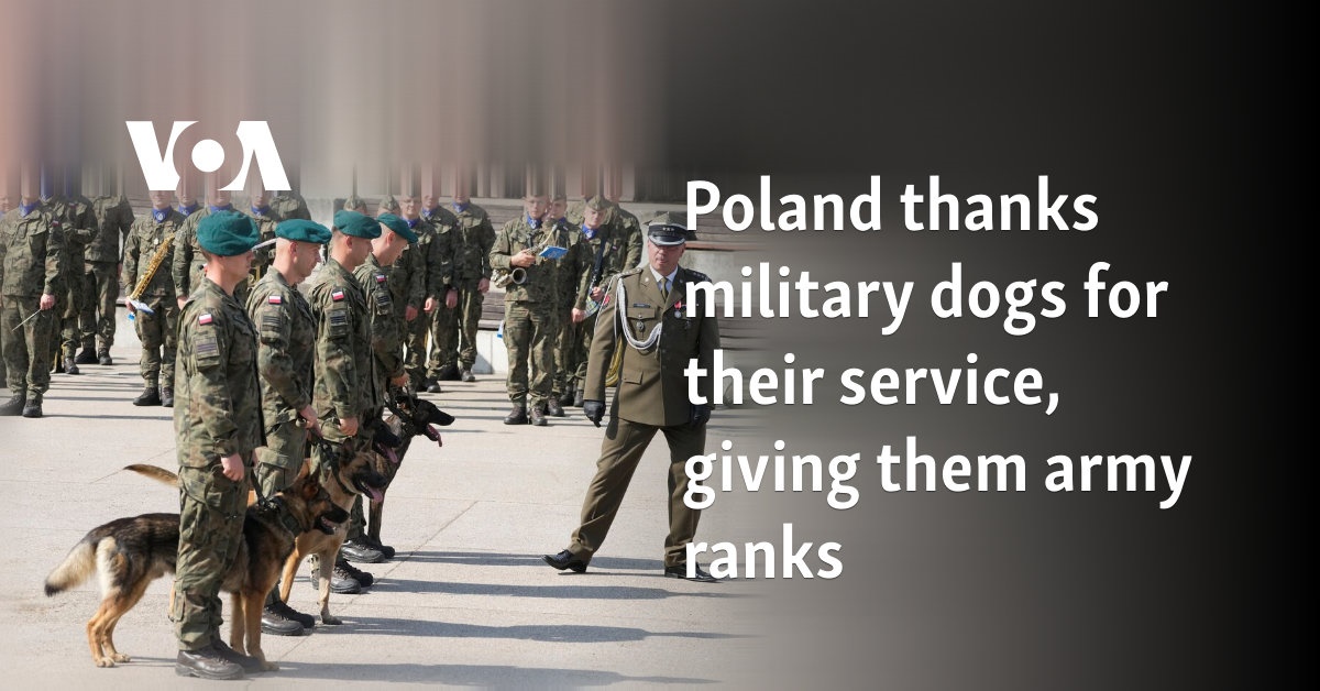 Poland thanks military dogs for their service, giving them army ranks