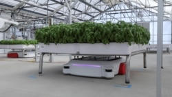 Quiz - California Startup Uses Robots in Greenhouses to Grow Crops