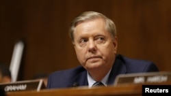 لیندزی گراهام، سناتور جمهوری‌خواه