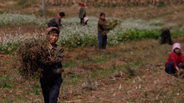 International Edition 1305 EDT - May 28, 2019