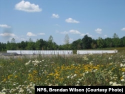 A wildflower meadow sweeps down from the Ring Road to the edge of the Wall of Names at the Memorial Plaza.