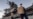 US Navy Reports First Coronavirus Death From Roosevelt Crew