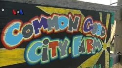 Kebun Kota Mendidik dan Sehatkan Warga