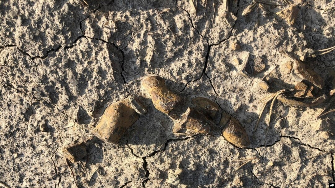 This undated photo provided by Grzegorz Niedzwiedzki shows fossilized plant-eating dinosaur feces found in the Holy Cross Mountains, Poland.