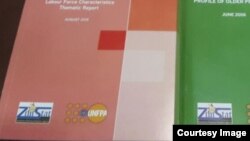 Zimstat inoti munhu mumwechete anoda mari inoita ZWL$5 672.00 pamwedzi.