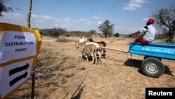 FILE: A villager arrives to collect food aid provided by the United Nations World Food Programme (WFP) at a distribution point in Bhayu, Zimbabwe, September 14, 2016. REUTERS/Philimon Bulawayo - D1BEUBGYOFAA