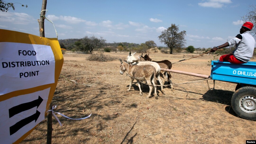 Vakwanda munyika vanonzi vave kutorarama nerubatsiro rwechikafu kubva kumasangano anobatsira.
