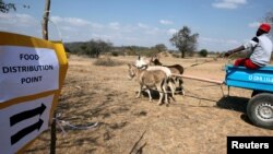 Vakwanda munyika vanonzi vave kutorarama nerubatsiro rwechikafu kubva kumasangano anobatsira.