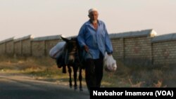 Qirg’izistonda keksalar hayoti: Ish izlayotgan qariyalar (2-qism)