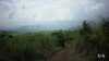Mozambique Pairs Coffee and Conservation