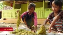 Nhiều trẻ em Indonesia lao động trên các đồn điền thuốc lá