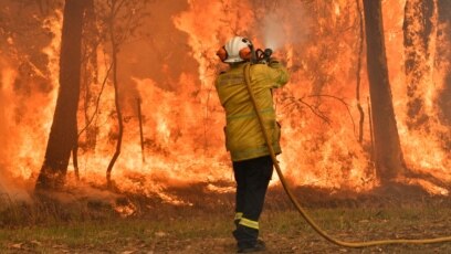 Một nhân viên cứu hỏa thi hành nhiệm vụ tại vùng Central Coast, cách thành phố Sydney của Úc khoảng 90-110 km về hướng Bắc. (AFP)