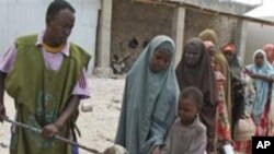 음식배급을 타는 소말리아 난민들