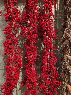 ການຕົກແຕ່ງບຸນຄຣິສມັສ